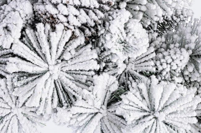 Corona Arves Innevata Diametro 60cm (6 Pezzi)