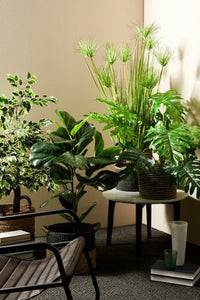 Tavolino Marmo Bianco Moderno da Interno 60 cm - JAXON