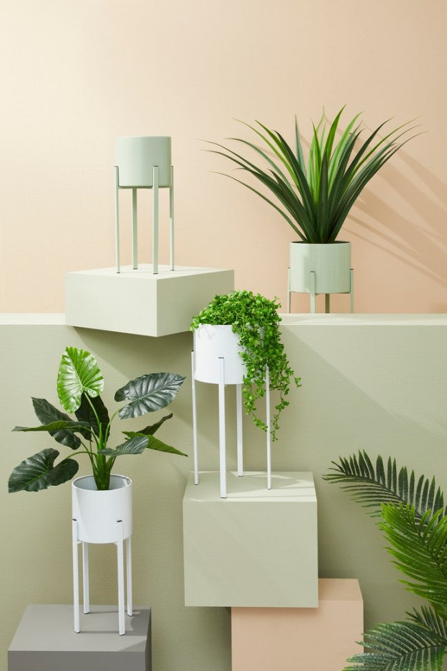 Porta Fiore Acciaio Verde Moderno da Interno - KEISUKE