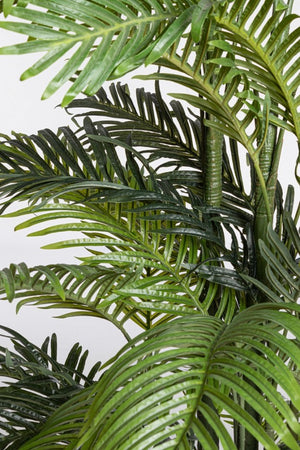 Pianta con Vaso Plastica Verde da Interno H210 cm - REGALO