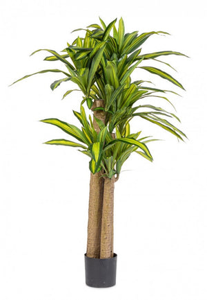 Set 2 Piante Dracaena Plastica Verde da Interno H150 - SERAPHIM