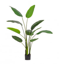 Set 2 Piante Strelitzia Plastica Verde da Interno H150 cm - RIFLETTORE
