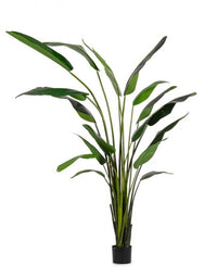 Pianta Strelitzia Plastica Verde Moderna da Interno H310 cm - RIFLETTORE