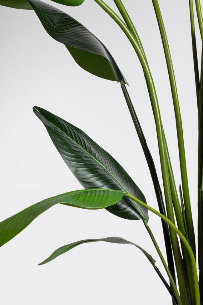 Pianta Strelitzia Plastica Verde Moderna da Interno H310 cm - RIFLETTORE