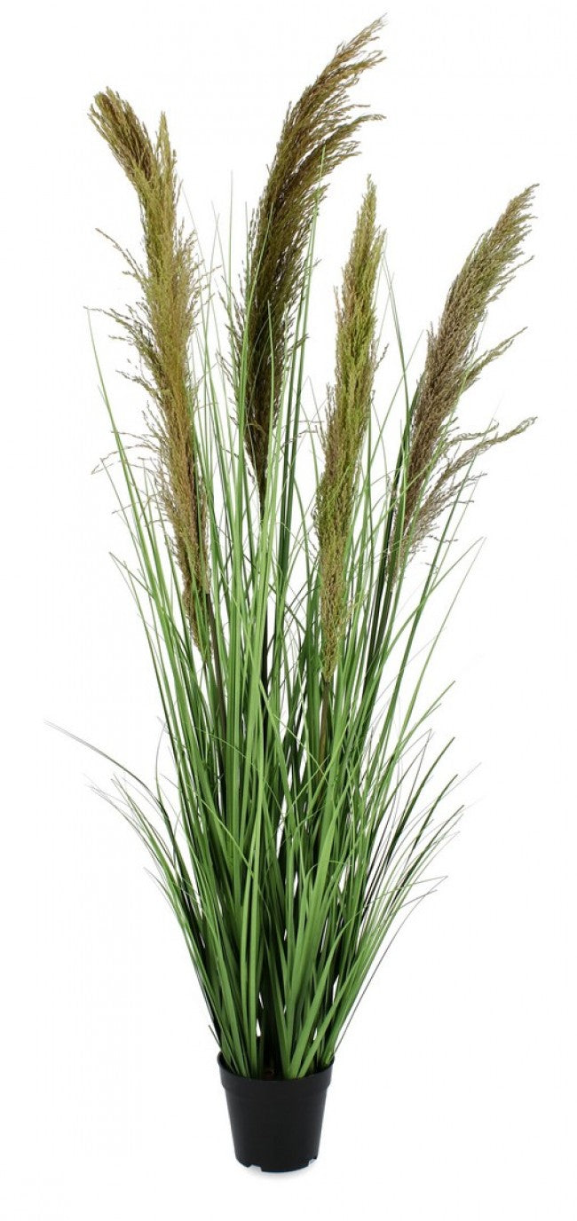 Set 4 Piante Pampas Plastica Verde da Interno H145 cm - SILHOUETTIA