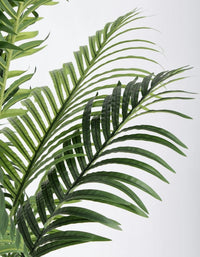 Set 2 Piante Artificiali Plastica Verde da Interno H160 - REGALO