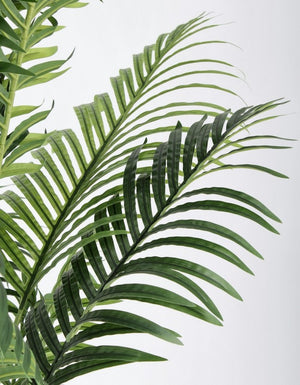 Set 2 Piante Artificiali Plastica Verde da Interno H160 - REGALO