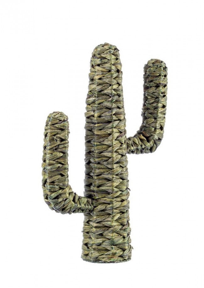 Set 4 Cactus Decorativi Fibre Naturali Verde Boho H59 cm - PYRIS