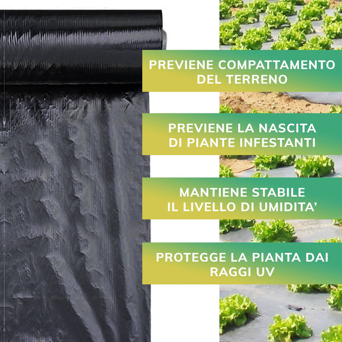 TELO PACCIAMATURA PASSO 30 EBAY 100 cm/100 mt