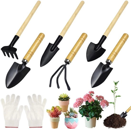 Kit di attrezzi da giardinaggio da 6 pezzi | Lame, rastrello e vanga con manico in legno | Per bonsai, piante in vaso e piantumazione | Set di attrezzi da giardinaggio premium