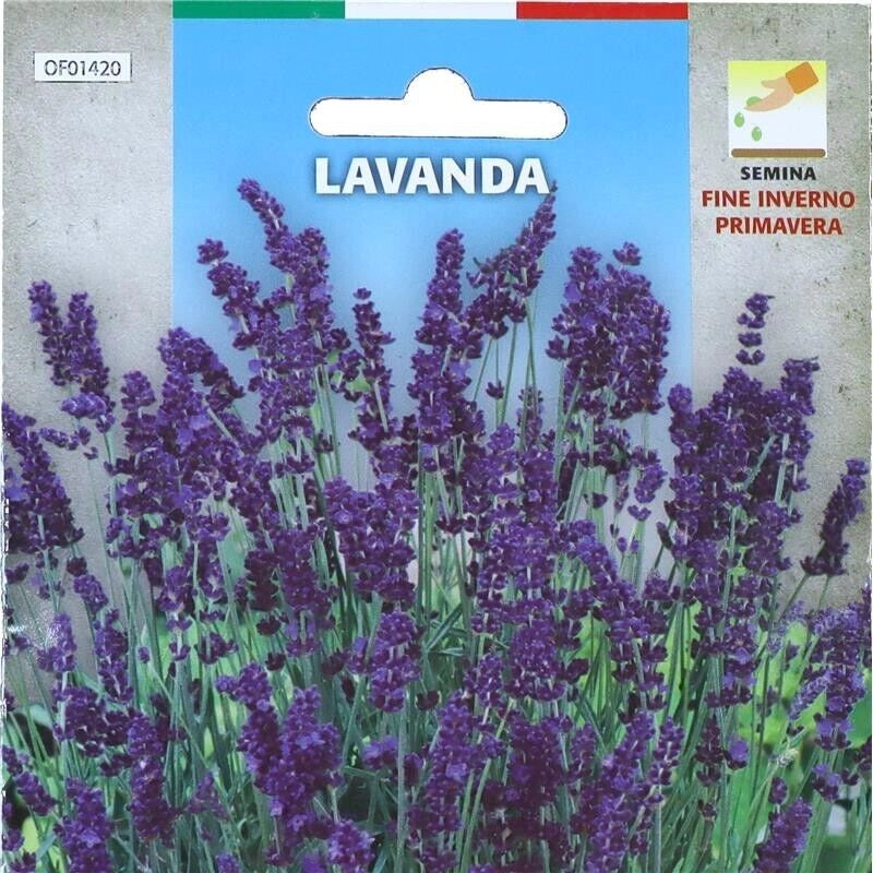 BUSTA DI SEMENTI DI LAVANDA