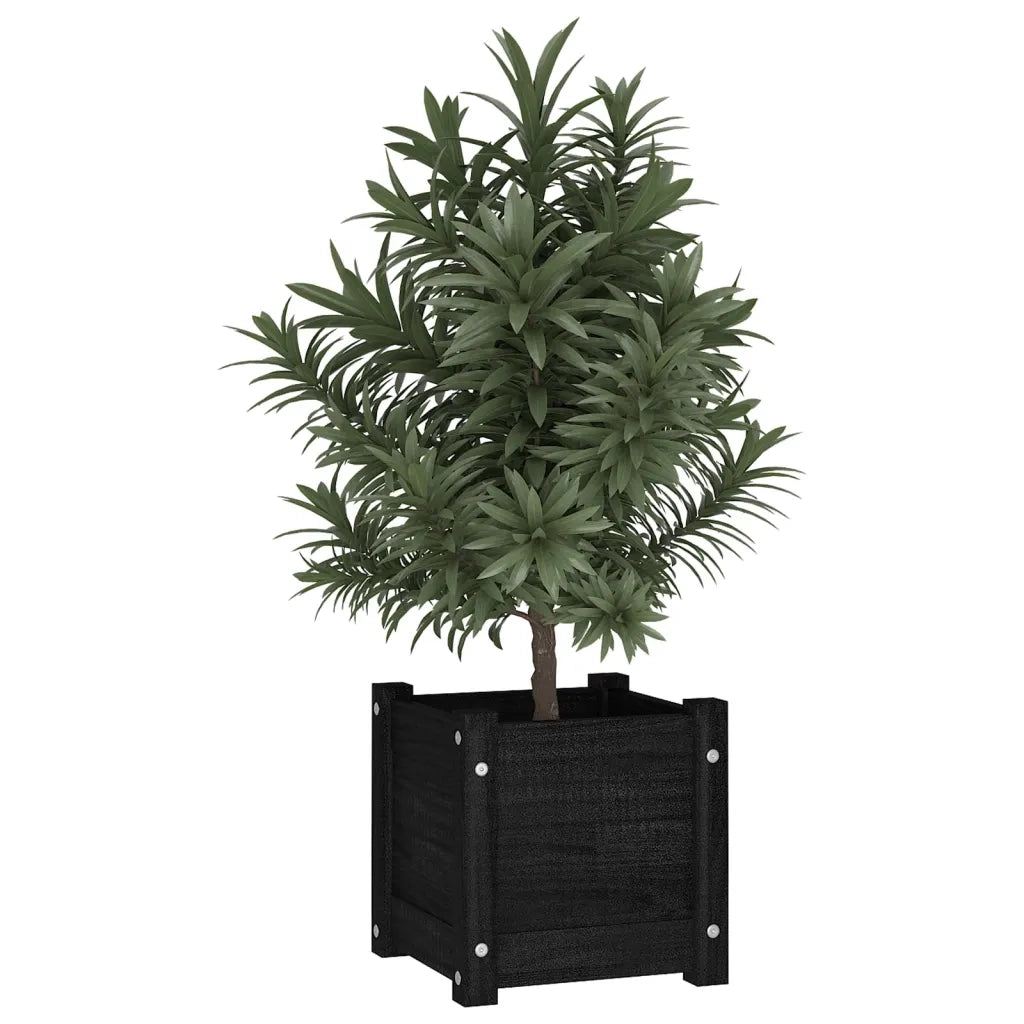 Fioriera da Giardino Nera 31x31x31 cm Legno Massello di Pino 810530