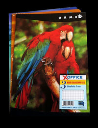 MONOCOLORE QUADERNI IN FORMATO A4  IN CONFEZIONE DA 3 PEZZI RIGO C