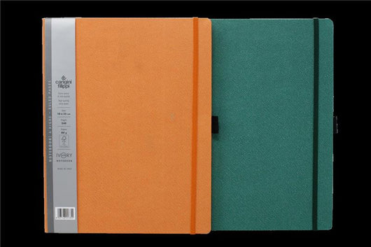 NOTEBOOK CON ELASTICO FERMA FOGLI 19X25 CM CARTA AVORIO DI QUALITÀ 240 PAGINE 80 GR  A RIGHE FANTASIA/COLORI ASSORTITI