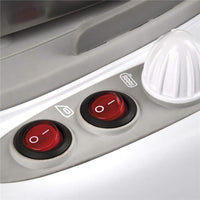 GIRMI FERRO PROFESSIONALE CON IMPUGNATURA IN SUGHERO CON CALDAIA 2000W 700 ML