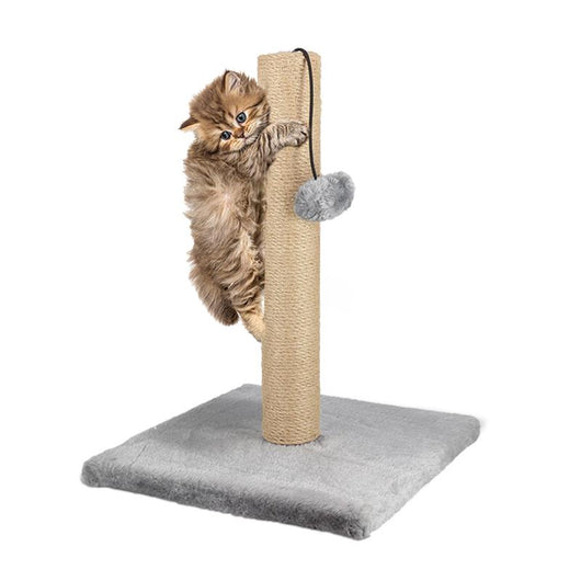 OPTIMO TIRAGRAFFI A COLONNA CON POM POM DA H 40 CM IN COLORE ASSORTITO