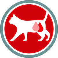 PURINA ONE STERILCAT MANZO & FRUMENTO BIFENSIS 800 G