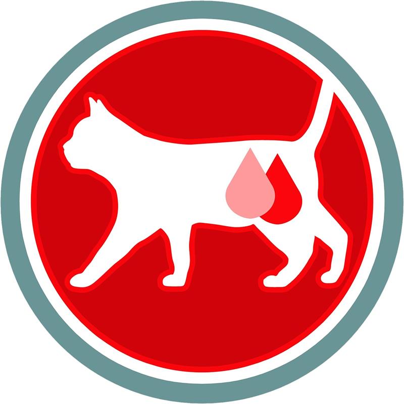 PURINA ONE STERILCAT MANZO & FRUMENTO BIFENSIS 800 G