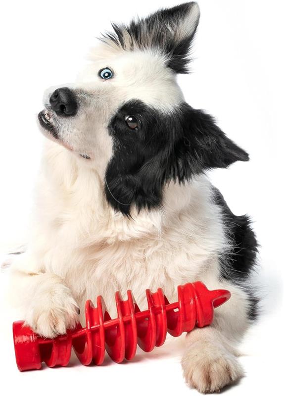 BAMA GIOCO PER CANI TIRA & MOLLA STIMOLA L’ATTIVAZIONE MENTALE DEL CANE CM D.8X25 GALLEGGIA E RIMBALZA COLORI ASSORTITI