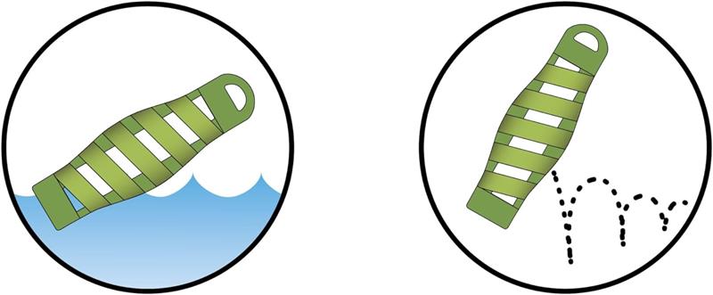 BAMA GIOCO PER CANI TIRA & MOLLA STIMOLA L’ATTIVAZIONE MENTALE DEL CANE CM D.8X25 GALLEGGIA E RIMBALZA COLORI ASSORTITI