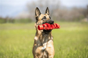 BAMA GIOCO PER CANI TIRA & MOLLA STIMOLA L’ATTIVAZIONE MENTALE DEL CANE CM D.8X25 GALLEGGIA E RIMBALZA COLORI ASSORTITI