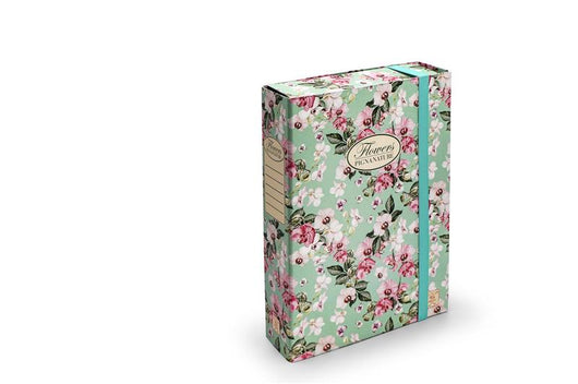 PIGNA PORTAPROGETTI CON ELASTICO PIATTO D7 MODELLI ASSORTITI NELLE FANTASIE E COLORI 25X35 CM CON ELASTICO