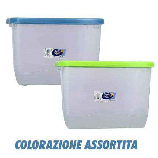 BOX GAIA GRIGIO CON TAPPO COLORATO 40X30X25 CM CONTENITORE MULTIUSO COLORE ASSORTITO