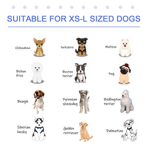 PISCINA RIGIDA PER CANI TAGLIA GRANDE 65KG IN PLASTICA ANTISCIVOLO BLU 140X30 CM