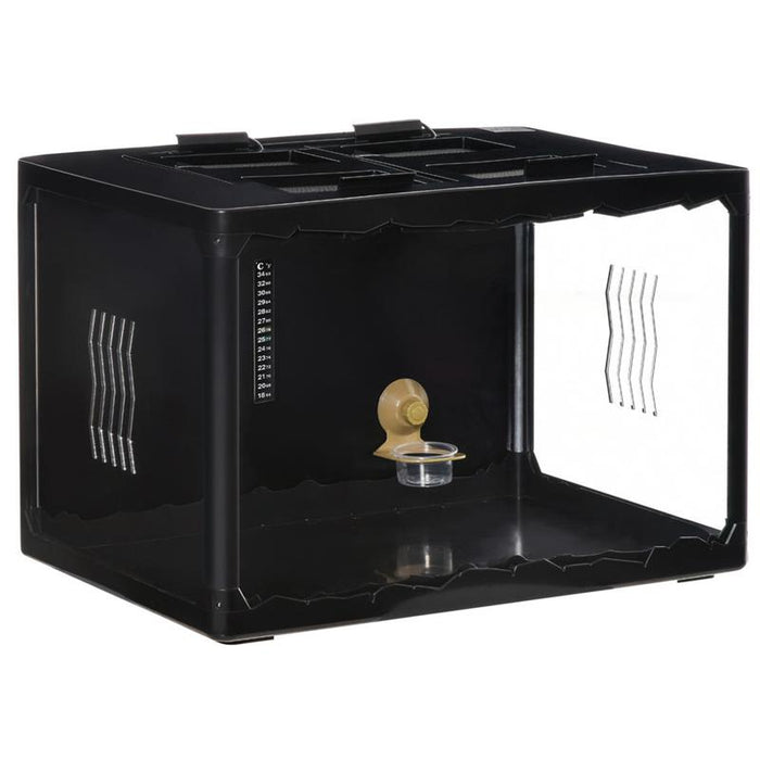 TARTARUGHE DI TERRA CAMALEONTE, IGUANA, GECO E RETTILI IN VETRO CON TERMOMETRO