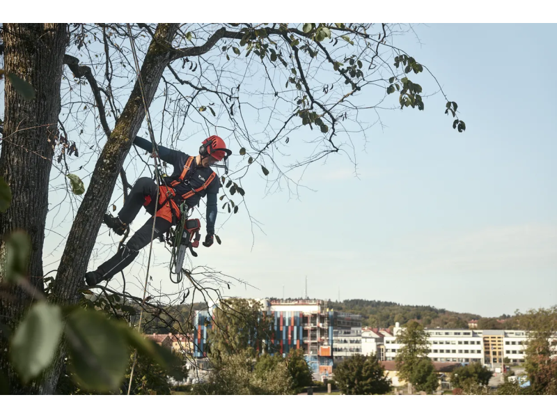 Motosega a Batteria Husqvarna T535i XP con barra da 35cm 36V peso 2,4Kg
