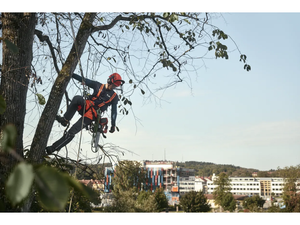 Motosega a Batteria Husqvarna T535i XP con barra da 35cm 36V peso 2,4Kg