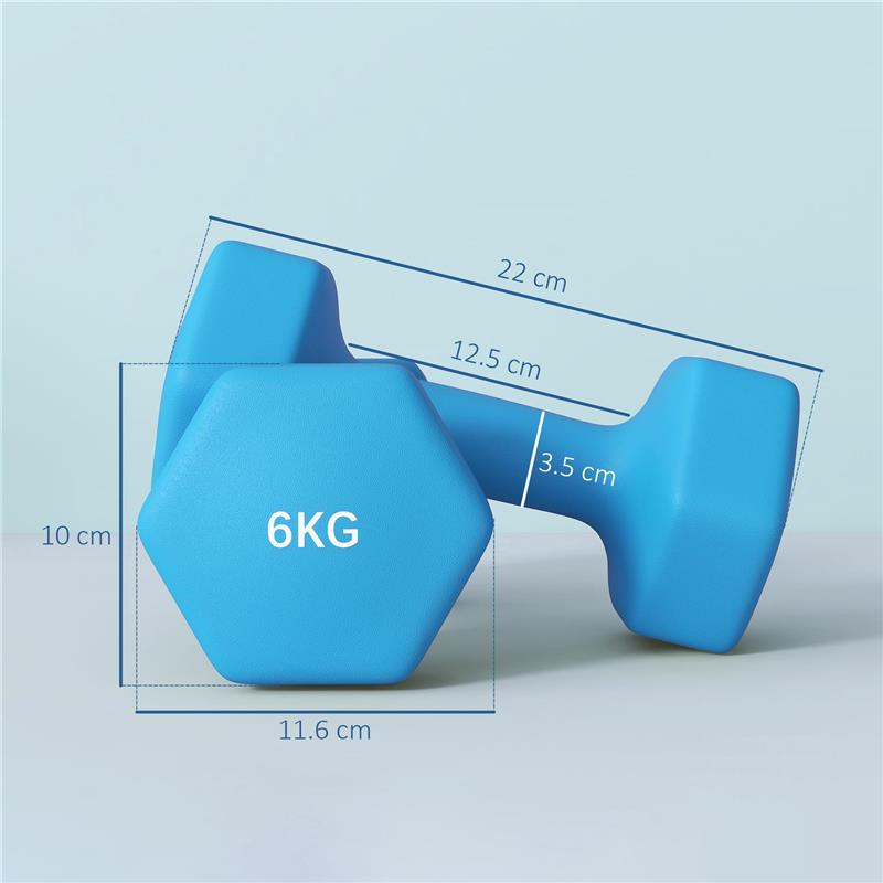 SET 2 MANUBRI ESAGONALI DA 2X6KG IN METALLO E PLASTICA CON IMPUGNATURA ANTISCIVOLO, 22X10X10 CM, AZZURRO