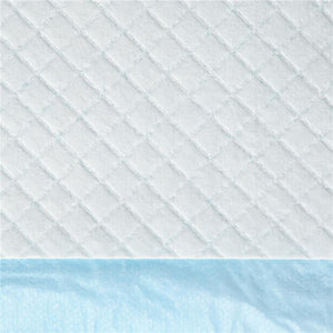 SET 100 TAPPETINI IGIENICI PER CANI A 6 STRATI IN TESSUTO NON TESSUTO, CARTA E PE, 45X60 CM, BLU E BIANCO