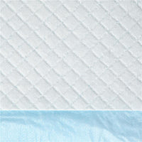 SET 80 TAPPETINI IGIENICI PER CANI A 6 STRATI IN TESSUTO NON TESSUTO, CARTA E PE, 60X60 CM, BLU E BIANCO