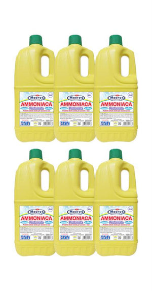 KIT SET 6 PZ MAURY'S AMMONIACA PROFUMATA 2 LT