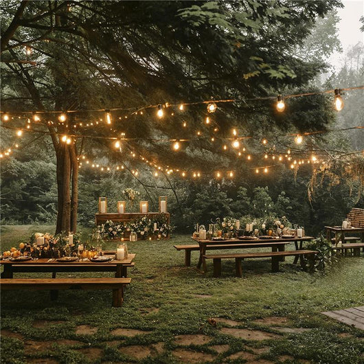 CATENA LUMINOSA A ENERGIA SOLARE MT 6 CON 30 LAMPADINE IN VETRO TRASPARENTE