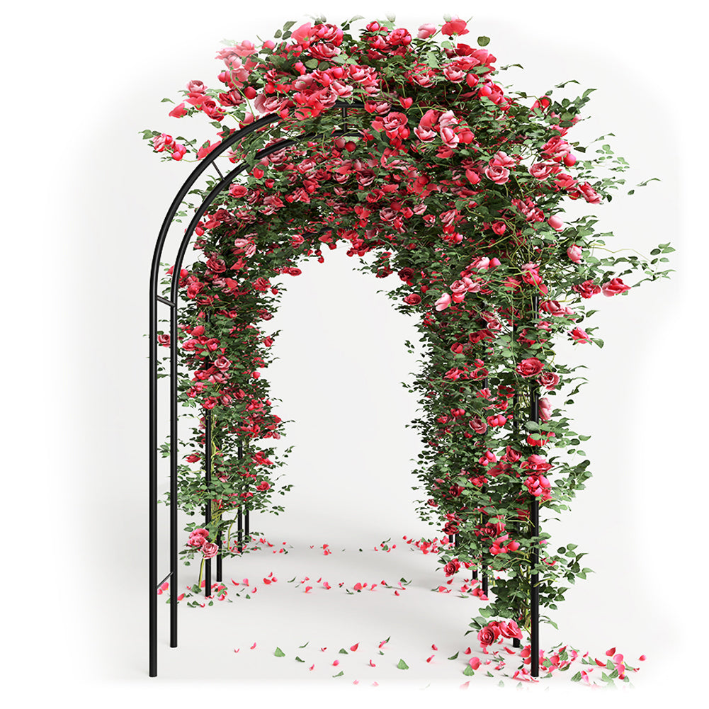 Arco in Ferro da Giardino per Piante Rampicanti Decorazione Terrazzo 140x240 cm