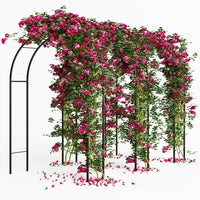 Arco in Ferro da Giardino per Piante Rampicanti Decorazione Terrazzo 140x240 cm