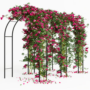 Arco in Ferro da Giardino per Piante Rampicanti Decorazione Terrazzo 140x240 cm