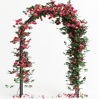 Arco in Ferro da Giardino per Piante Rampicanti Decorazione Terrazzo 140x240 cm
