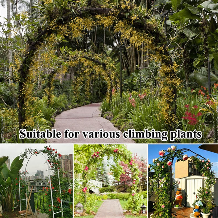 Arco in Ferro da Giardino per Piante Rampicanti Decorazione Terrazzo 140x240 cm