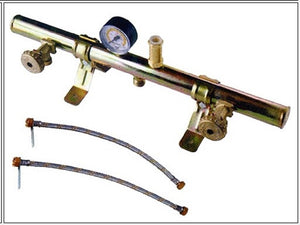 CENTRALINA A GAS PER GPL CON MANOMETRO A 2 ELEMENTI E FLESSIBILI