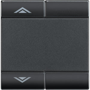 Living Light - Copritasto 2 moduli SU GIÙ - L4911M2AHN