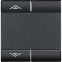 Living Light - Copritasto 2 moduli SU GIÙ - L4911M2AHN