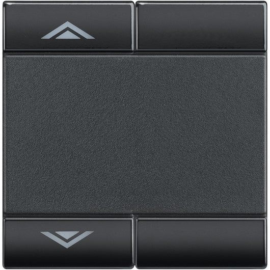 Living Light - Copritasto 2 moduli SU GIÙ - L4911M2AHN