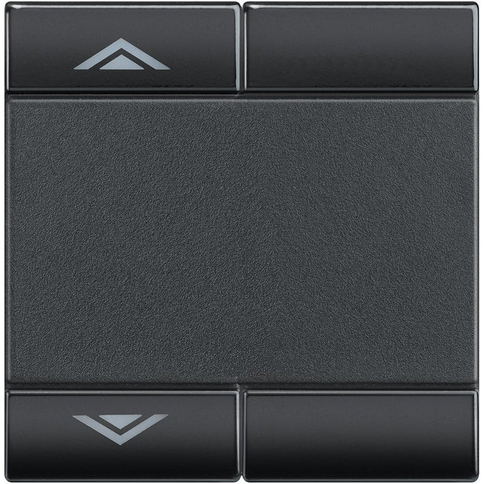 Living Light - Copritasto 2 moduli SU GIÙ - L4911M2AHN