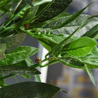 SET 2 PIANTE FINTE DI ALLORO IN VASO ALTE 120CM PER INTERNI ED ESTERNI