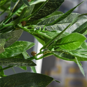 SET 2 PIANTE FINTE DI ALLORO IN VASO ALTE 120CM PER INTERNI ED ESTERNI