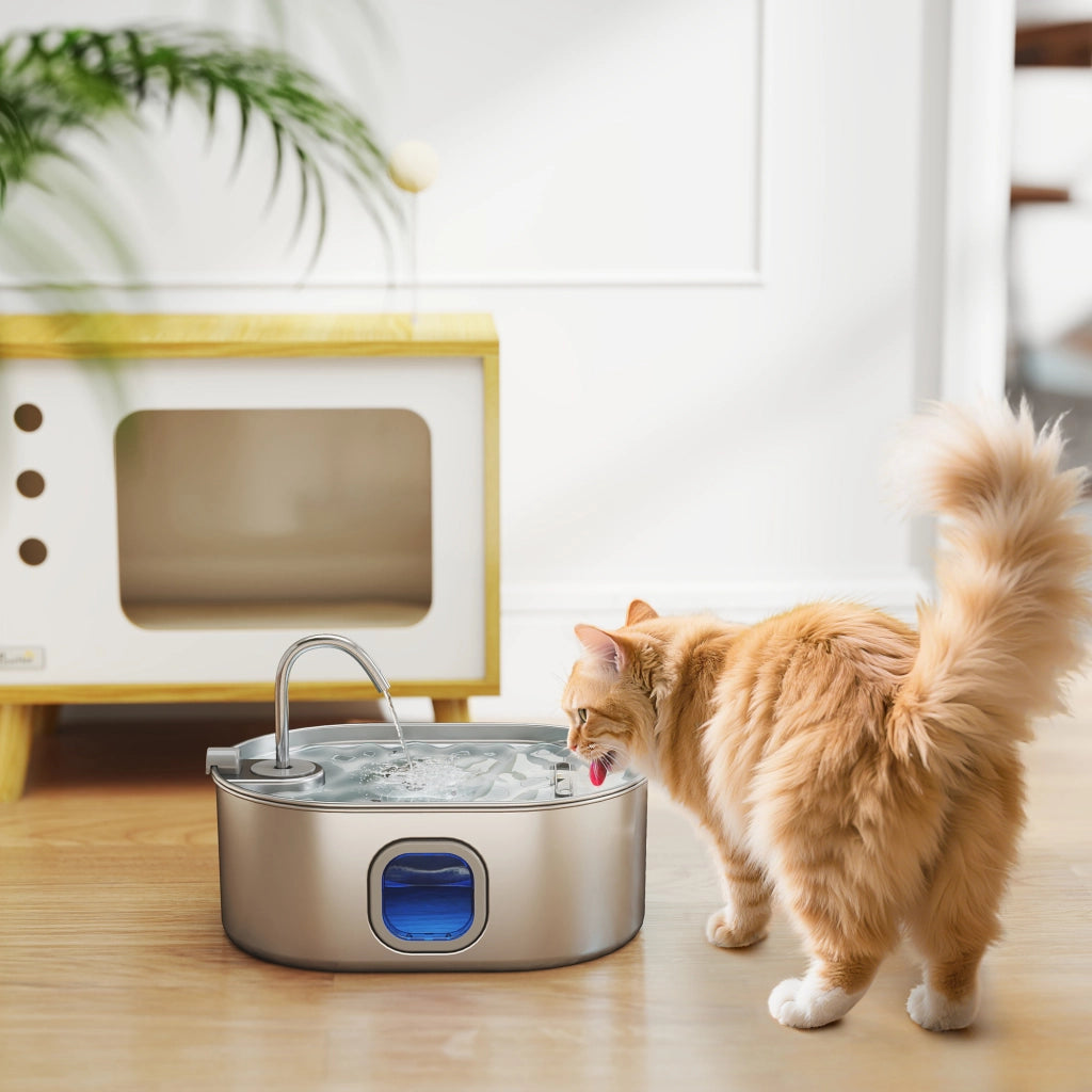 Fontana per Gatto ¨C zephmum ¨C Acciaio Inox 304, 32x22.1x22.3 cm, Argento