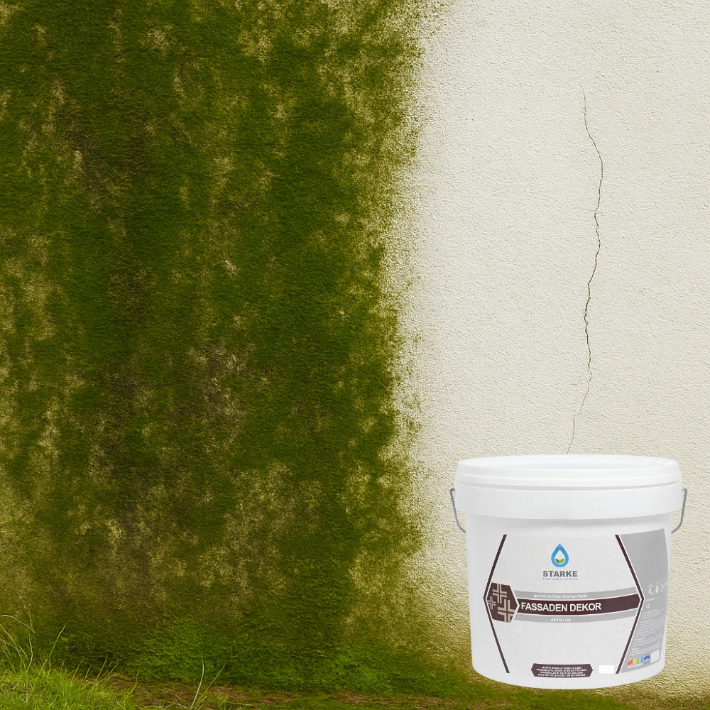 Quarzo fine fassaden dekor acrilico coprente idrorepellente antialga antimuffa *** formato 5 lt, confezione 1